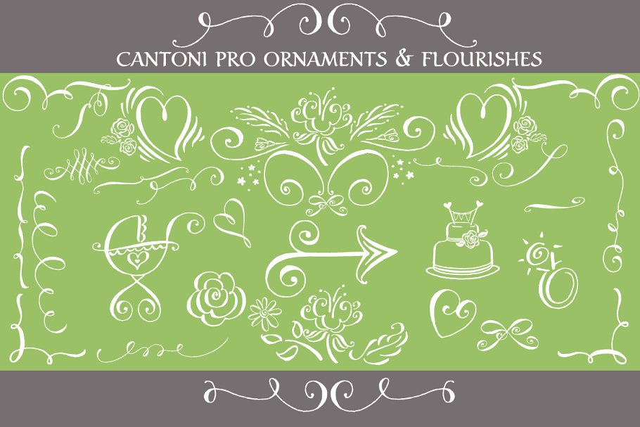 Cantoni Pro Hand Lettered Font Digital Font Download