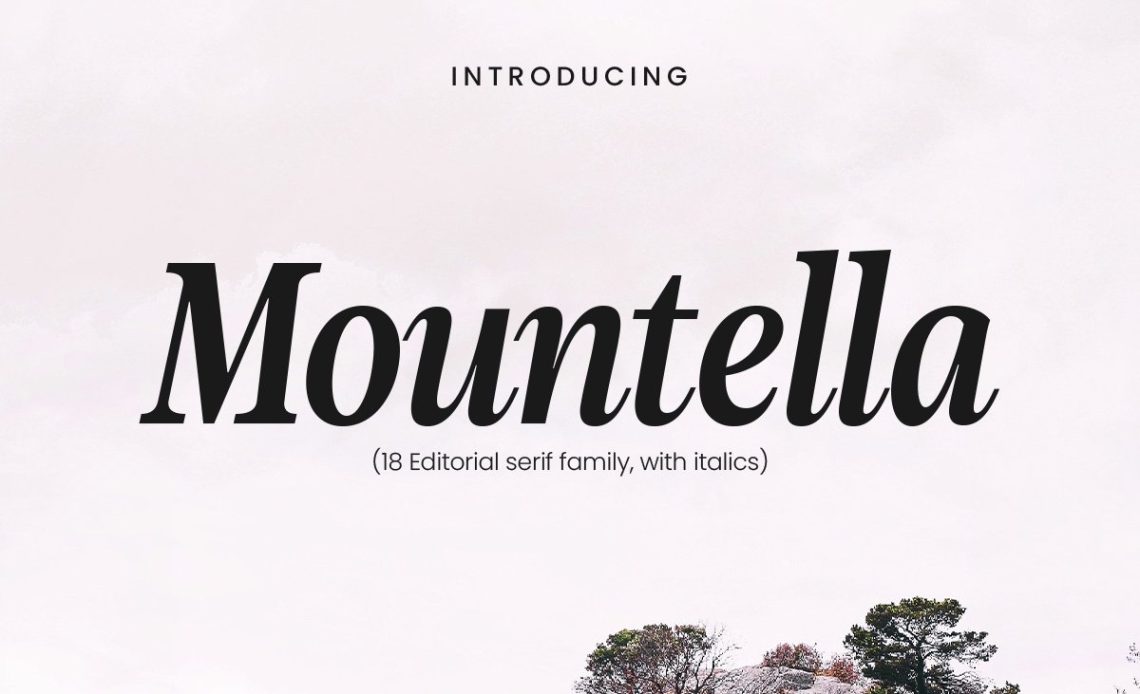 mountella-18-serif-font-family-digital-font-download