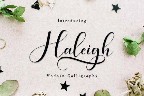 Haleigh Script Font Digital Font Download